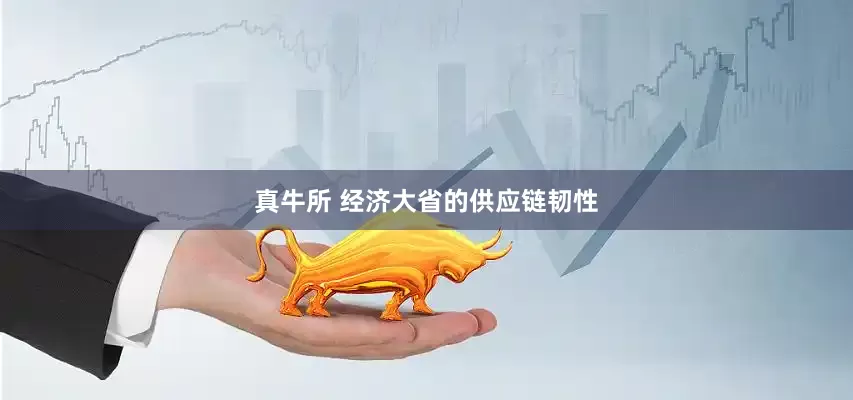真牛所 经济大省的供应链韧性