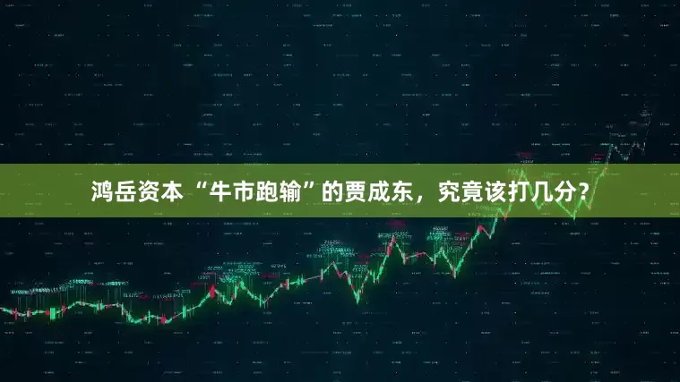 鸿岳资本 “牛市跑输”的贾成东，究竟该打几分？