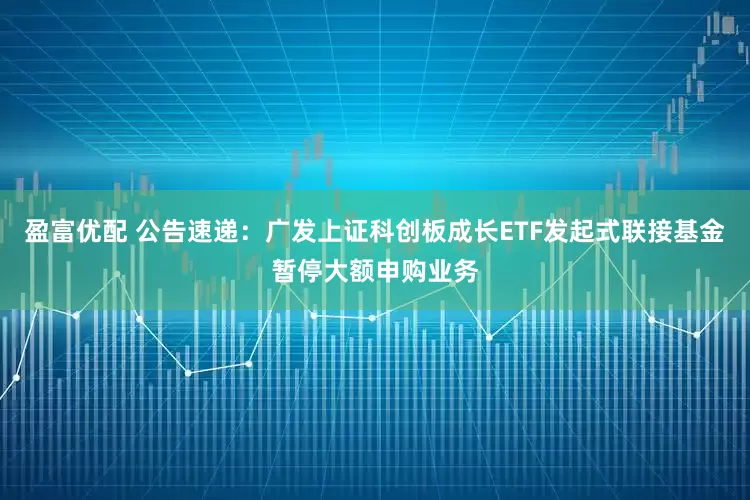 盈富优配 公告速递:广发上证科创板成长ETF发起式联接基金暂停大额申购业务